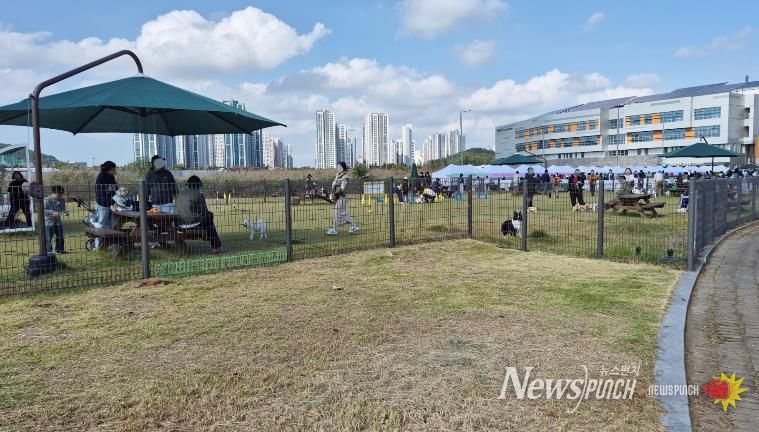 와스타디움 중앙광장 유휴부지에 조성된 반려견 놀이터에서 시민들이 반려견과 함께 시간을 보내고 있다. (사진=안산도시공사 제공)