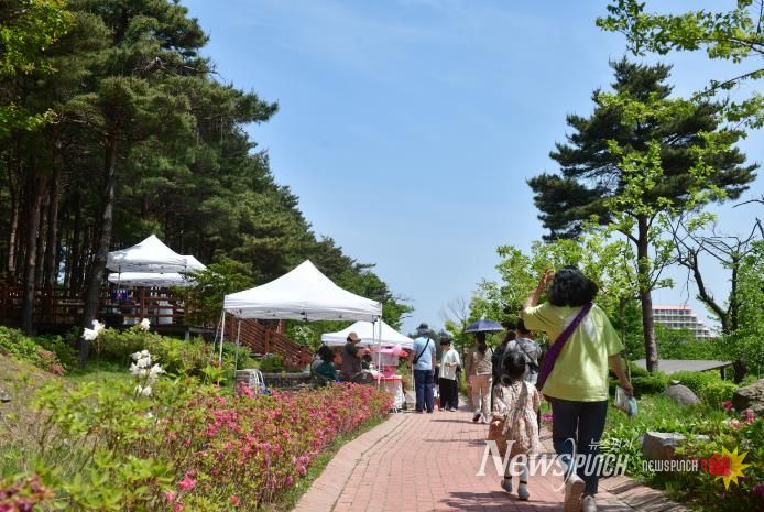 속초시립박물관, 2026년 노리숲길 숲속마켓 셀러 모집