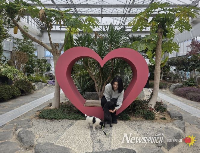 사천시유기동물보호소, 새로운 가족을 기다립니다.