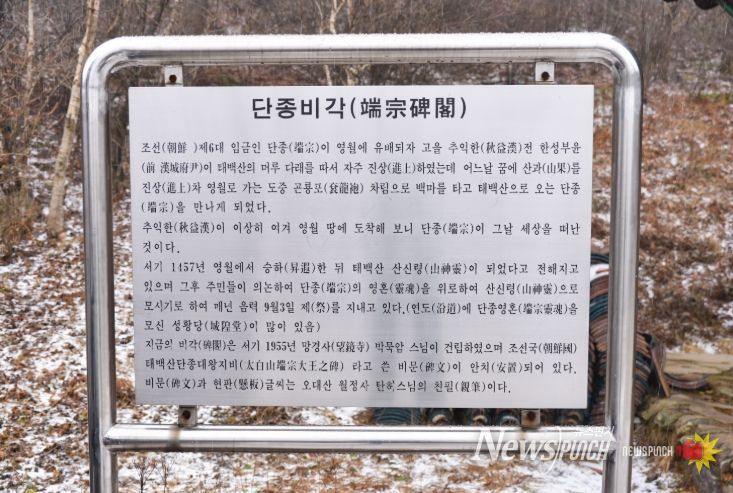 태백산 단종비각'