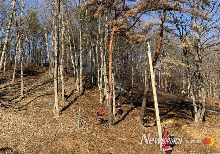 청양산불 진화모습