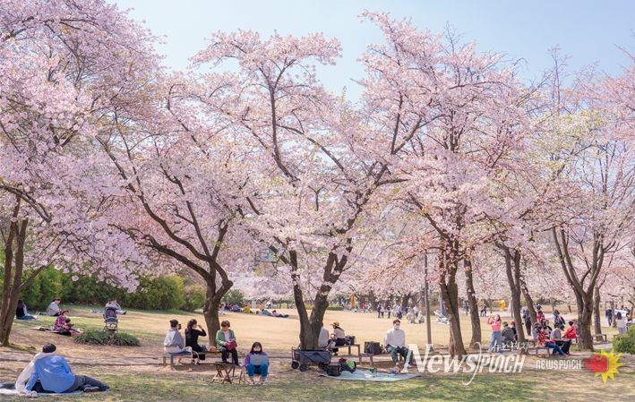 어린이대공원의 봄