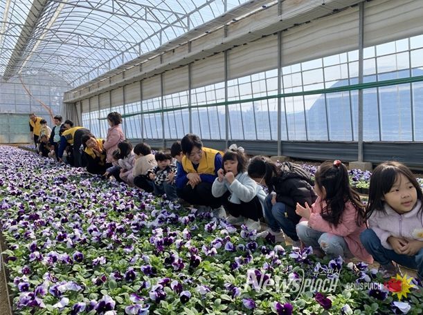 초화양묘장 견학