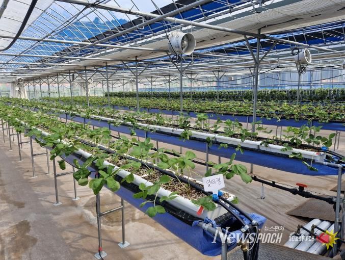 스마트농업 테스트베드