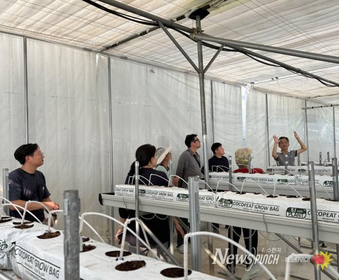 천안시농업기술센터가 스마트팜 운영 현장에서 컨설팅을 진행하고 있다.