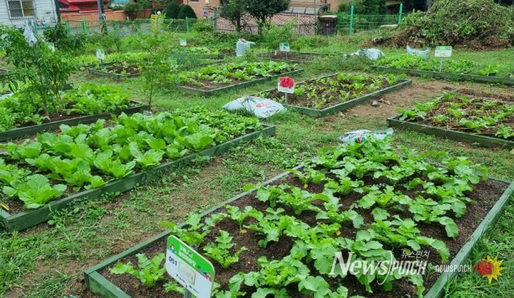 강북 도시농업 체험장 전경