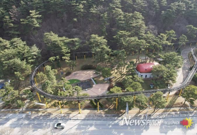 보은군, 산림교육·체험공간 ‘속리산 유아숲체험원’ 조성 박차