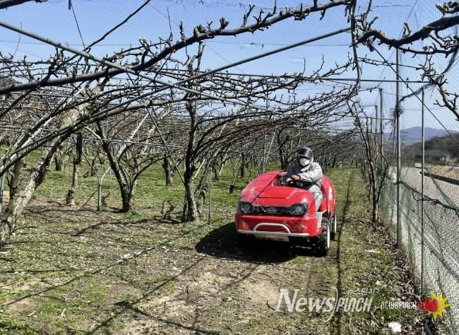함양군, 과수화상병 예방 약제 적기 살포 당부