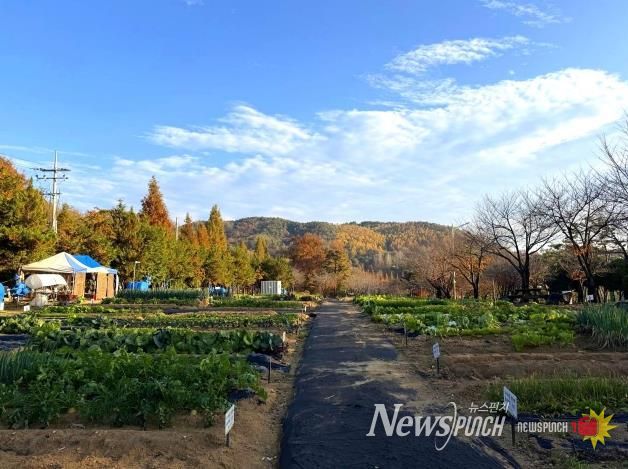 안성시, 2026년 도시농업공동체 공공텃밭 분양자 모집