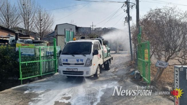 양돈농가특별방역