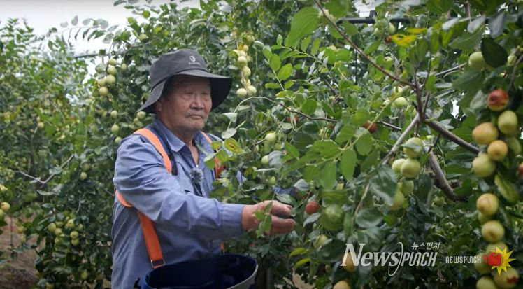 2026년 산림소득사업 지원 추진