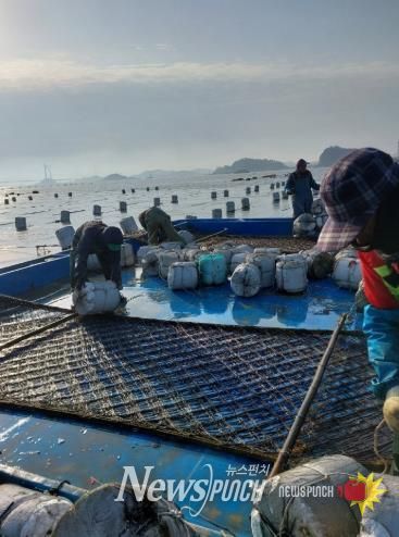 수산산업과김양식계절근로자모집