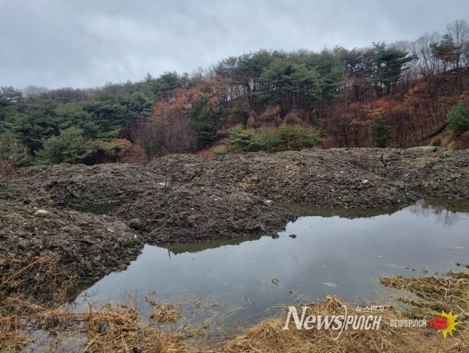 부숙토 자료사진