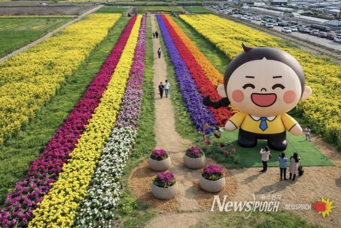 유채꽃축제 조감도