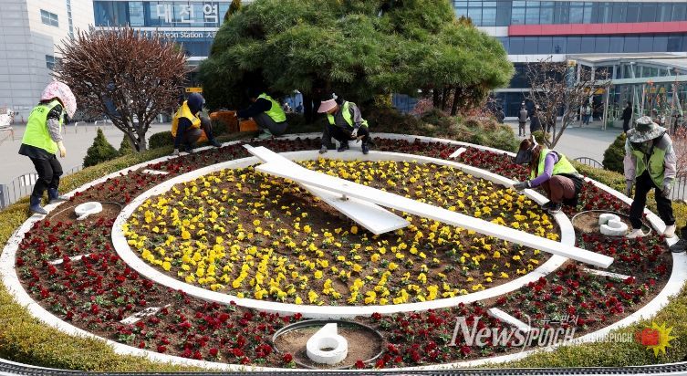 대전역 서광장 봄꽃 식재