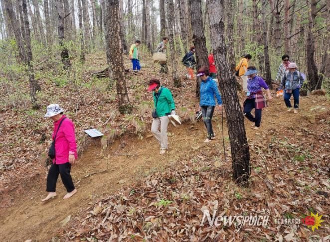 거창 항노화 힐링랜드 맨발걷기 사진.j