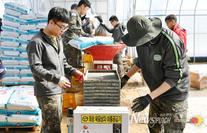 지난해 3월, 상서면 육묘은행 못자리 설치 현장에서 군장병들이 고령 농업인을 위해 대민지원에 나서고 있다