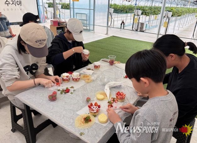 관내 청소년 30명 참여, 지역 농가 방문해 딸기 수확 및 요리체험