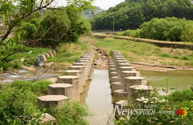 파주시 금촌3동, '잠든 용치(龍齒)와 평화의 바람' 사진전 개최