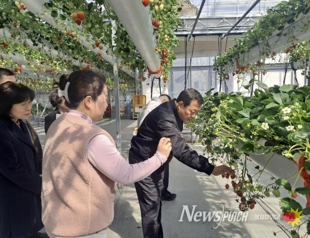 광주시 김충범 부시장, 곤지암읍 딸기 재배 농가 현장 방문