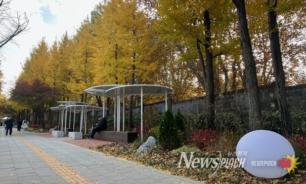 생활 가로변 녹지정비 사업(녹사평~해방촌 입구)