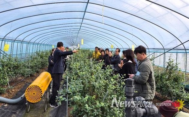 의령군, 도시민 대상 귀농귀촌 농촌문화 체험교육…농촌 정착 이해 높여