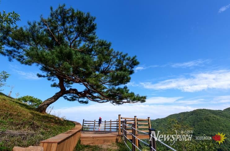 “숲속 힐링 여행 89만여 명 다녀갔다.” 숲이 건네는 위로 K-산림치유 인기(국립산림치유원 전망데크 전경)
