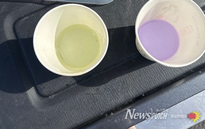 가짜 석유 간이 진단(보라색)