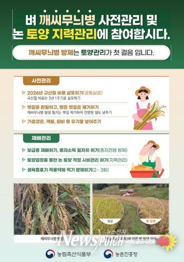벼 깨씨무늬병 사전관리 및 논 토양관리 리플릿