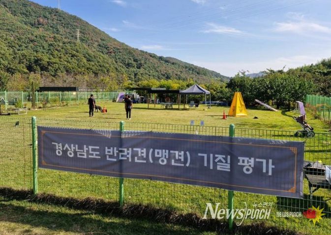 2026년도 맹견기질평가 장소