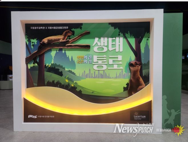 충북아쿠아리움, ‘생태통로 생명의 길’ 특별전 개최(국립광주과학관 전시 모습)