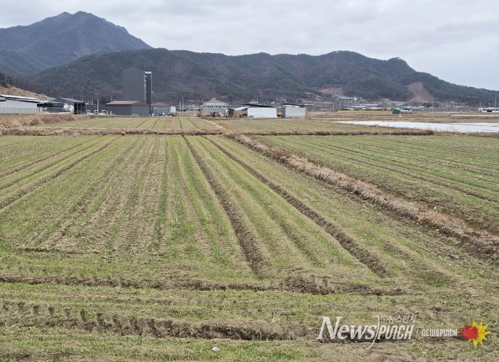 봄철 맥류 관리 ‘골든타임’…구미시, 현장 기술지원 강화배수로