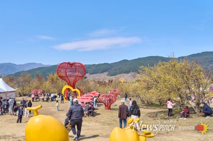 화엄사 홍매화 개화 맞아 환경정화 활동