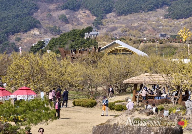 제27회 구례산수유꽃축제 성공적으로 마무리
