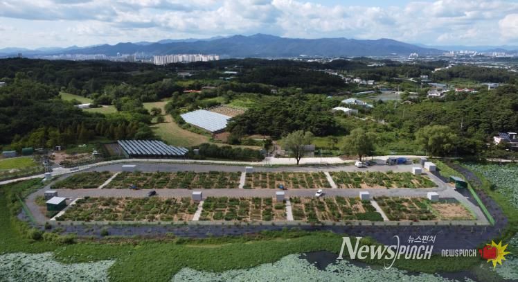 경산시, 도시농업 공영농장 개장, 시민 호응 기대