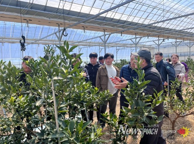 만감류 재배 현장 컨설팅