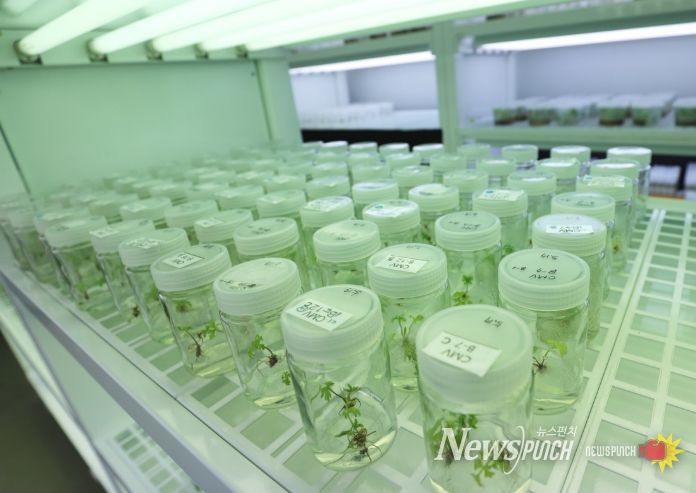 산림약용자원 연구