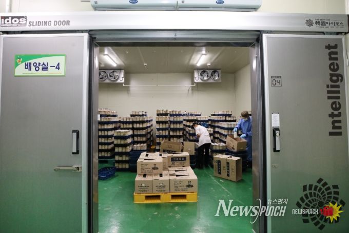 무주군 천마 종균 배양센터