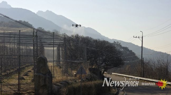 산청군, 명품사과 드론으로 지킨다
