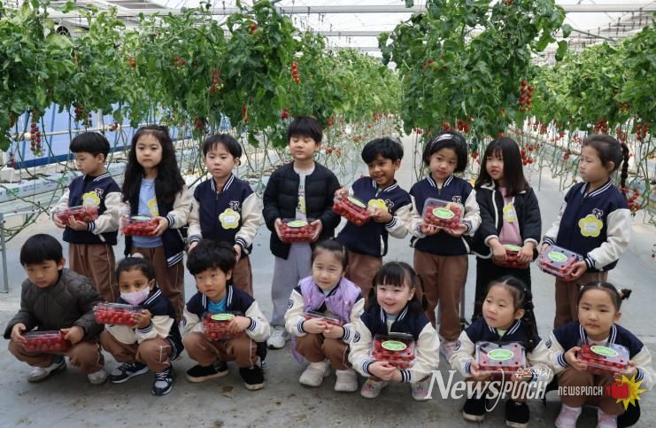아이들이 월동 초화류와 토마토 따기 체험을 실시하고 있다.