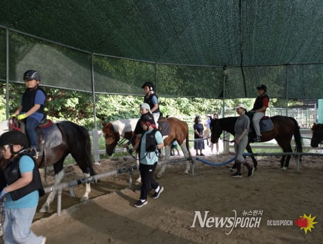 과천시 학생승마 지원사업 말타기 수업 모습