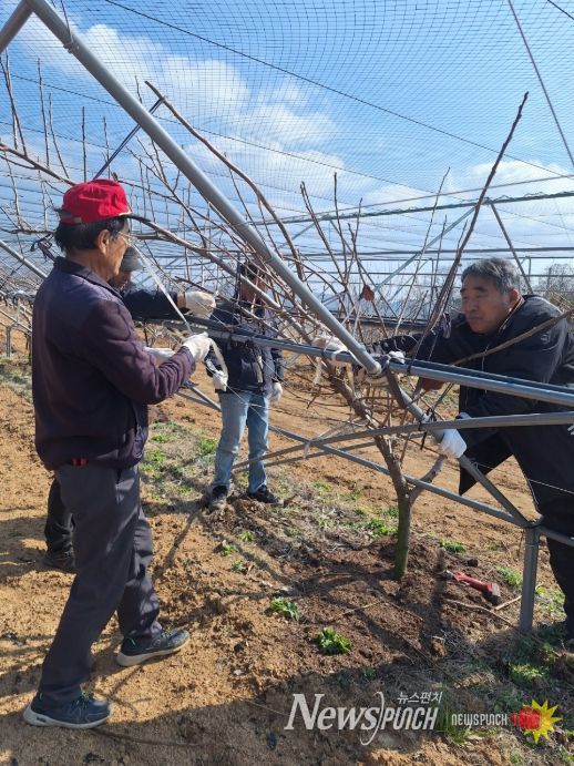 맞춤형 영농지원 본격화