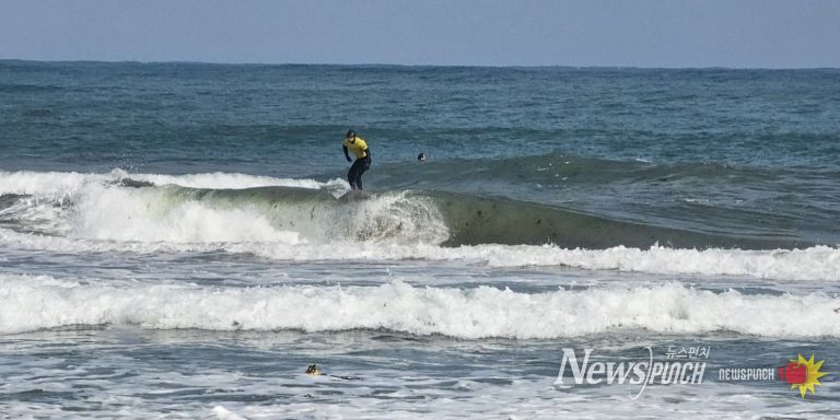 지난해 메이어스컵 서핑 챔피언십 대회