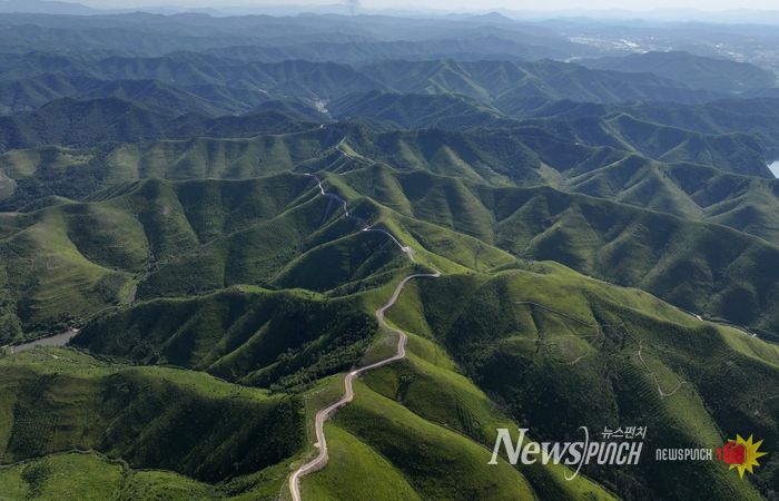 초대형 산불 이후, 함께 이겨낸 1년 안동시, 일상 회복 위에 새로운 미래를 그리다
