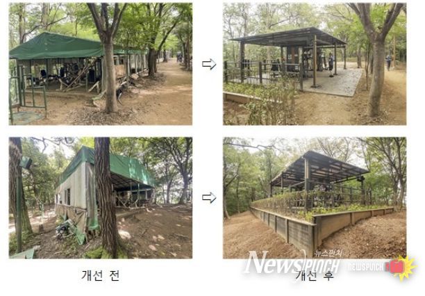 지양산 내 불법시설물 개선 전후