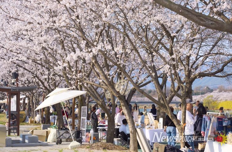 2026 구례300리 벚꽃축제 성황리에 마무리
