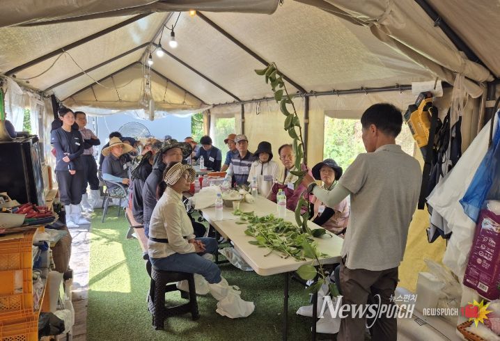 나주시가 2026년도 나주시농업인대학 ‘청년배전문반’ 교육생을 모집한다. 사진은 지난해 청년배전문반 교육 진행 모습.