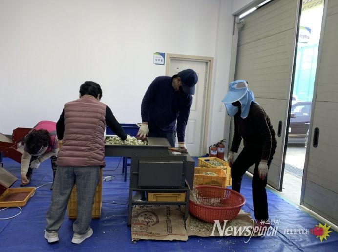 과수 꽃가루은행 운영 사진