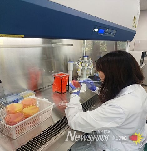 학교급식 안전성 검사