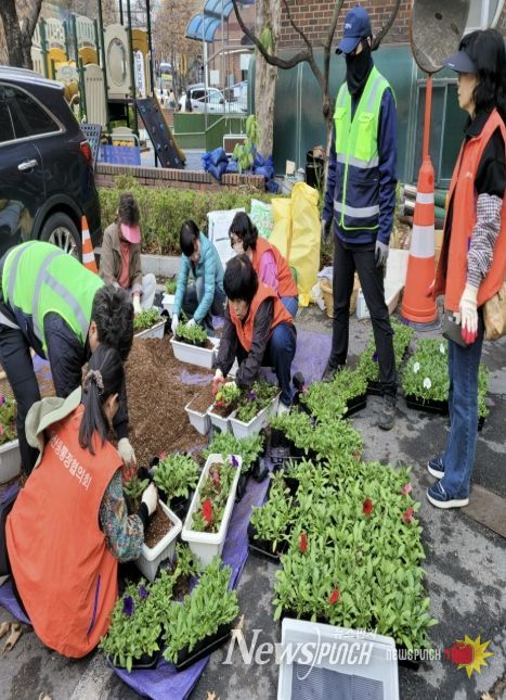 고양시 풍산동, 봄맞이 초화 식재